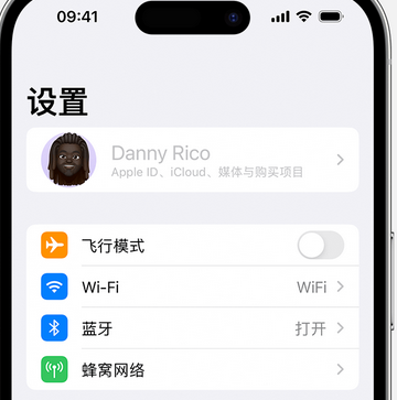 阜宁appleID维修服务iPhone设置中Apple ID显示为灰色无法使用