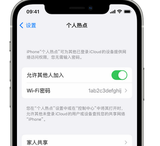 阜宁apple服务站点分享iPhone上个人热点丢失了怎么办 