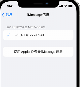 阜宁apple维修iPhone上无法正常发送iMessage信息 