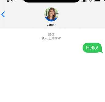 阜宁apple维修iPhone上无法正常发送iMessage信息