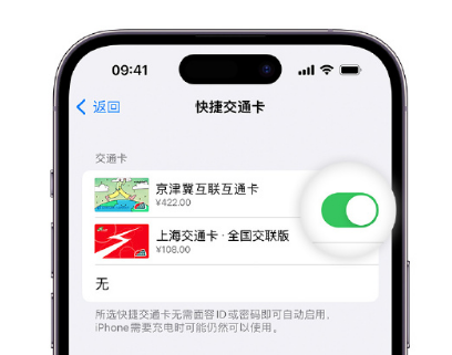 阜宁apple维修点分享iPhone上更换Apple Pay快捷交通卡手绘卡面 