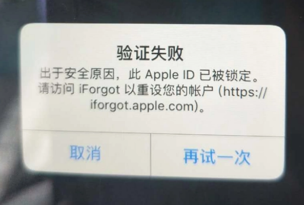 阜宁iPhone维修分享iPhone上正常登录或使用AppleID怎么办 