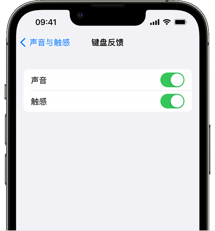 阜宁苹果14维修店分享如何在 iPhone 14 机型中使用触感键盘 