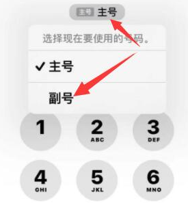 阜宁苹果14维修店分享iPhone 14 Pro Max使用副卡打电话的方法 