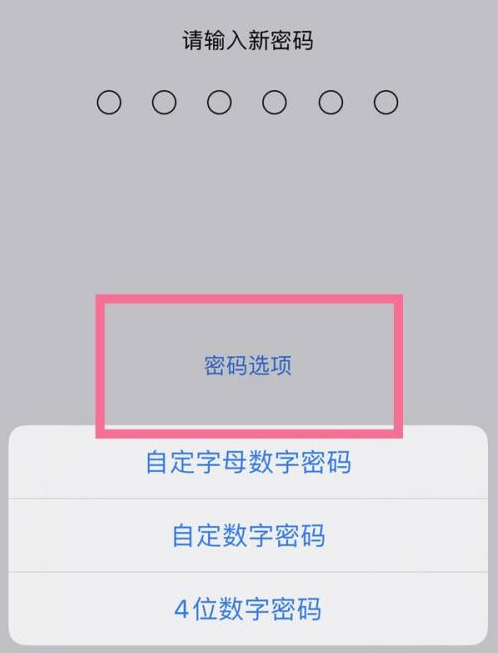 阜宁苹果14维修分享iPhone 14plus设置密码的方法 