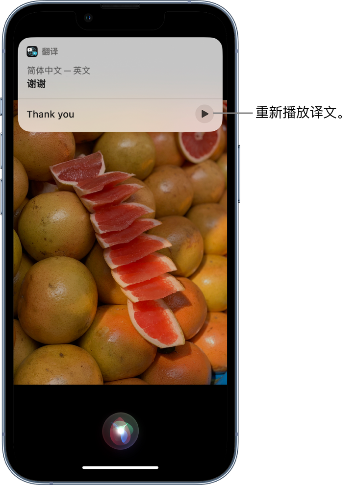 阜宁苹果14维修分享 iPhone 14 机型中使用 Siri：了解 Siri 能帮你做什么 