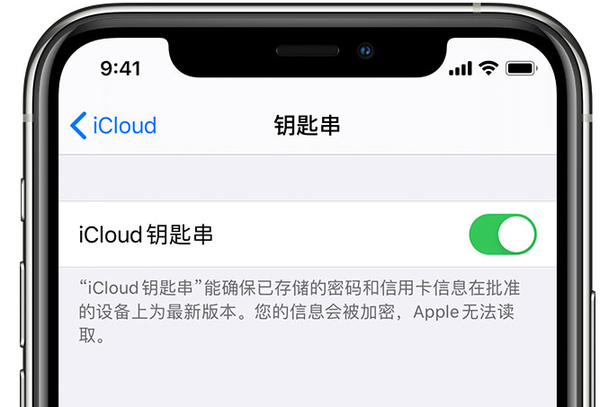 阜宁苹果手机维修分享在 iPhone 上开启 iCloud 钥匙串之后会储存哪些信息 