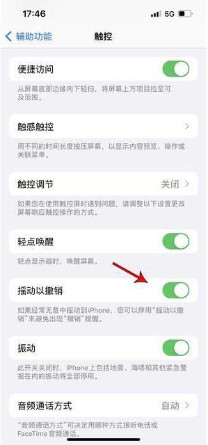 阜宁苹果手机维修分享iPhone手机如何设置摇一摇删除文字 