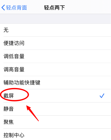 阜宁苹果手机维修分享iPhone12如何启用双击截屏 